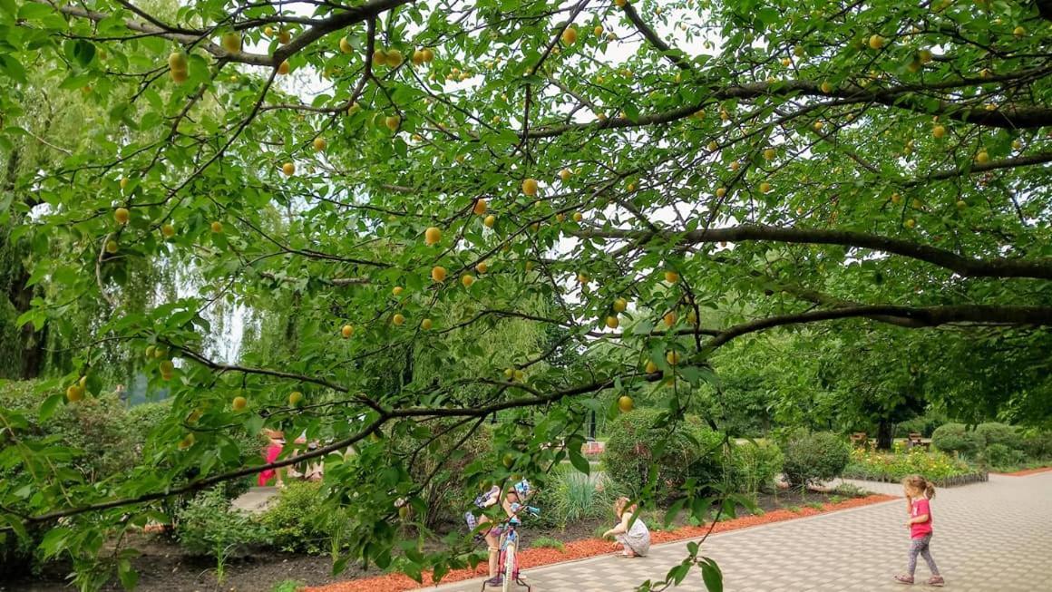 Apartment On Rusanivska Naberezhnaya 22 Киев Экстерьер фото